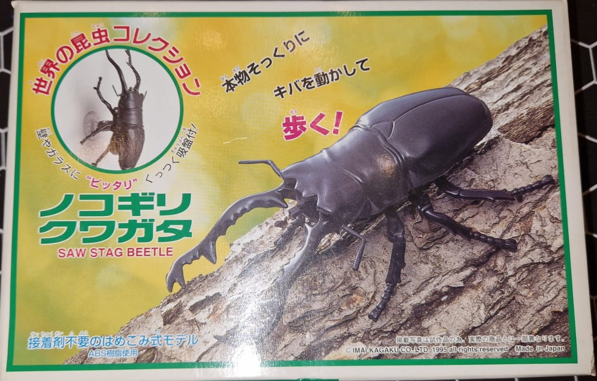 Imai World Insect Collection Sawtooth Stag Beetle