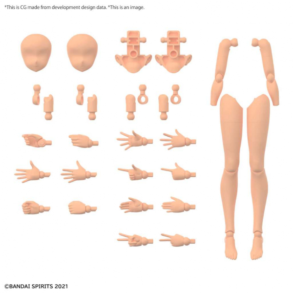 30MS OP BODY PARTS ARM & LEG COLOR C
